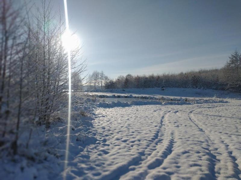 Miedzy Olchami Domek Nad Jeziorem. Noclegi Caloroczne. Cisza, Spokoj. Barczewo Eksteriør bilde
